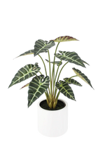 Künstliche Alocasia - Tamika, 68 cm, Kunstpflanze von aplanta, inkl. Dekotopf, in Grün, für drinnen