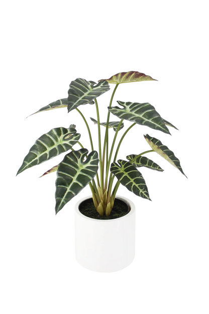 Künstliche Alocasia - Tamika, 68 cm, Kunstpflanze von aplanta, inkl. Dekotopf, in Grün, für drinnen