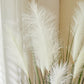 Künstliches Pampasgras – Aurelius | 122 cm