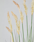 Künstliches Reitgras – Florentin | 150 cm