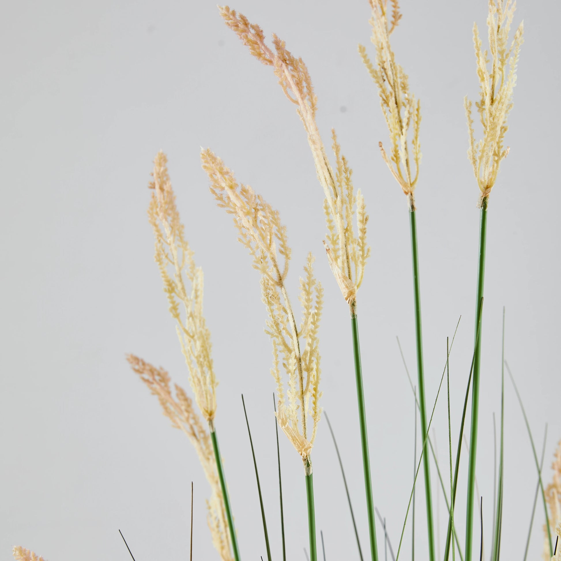 Künstliches Reitgras – Florentin | 150 cm