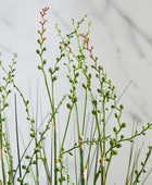 Künstliches Gras – Thadeus | 90 cm