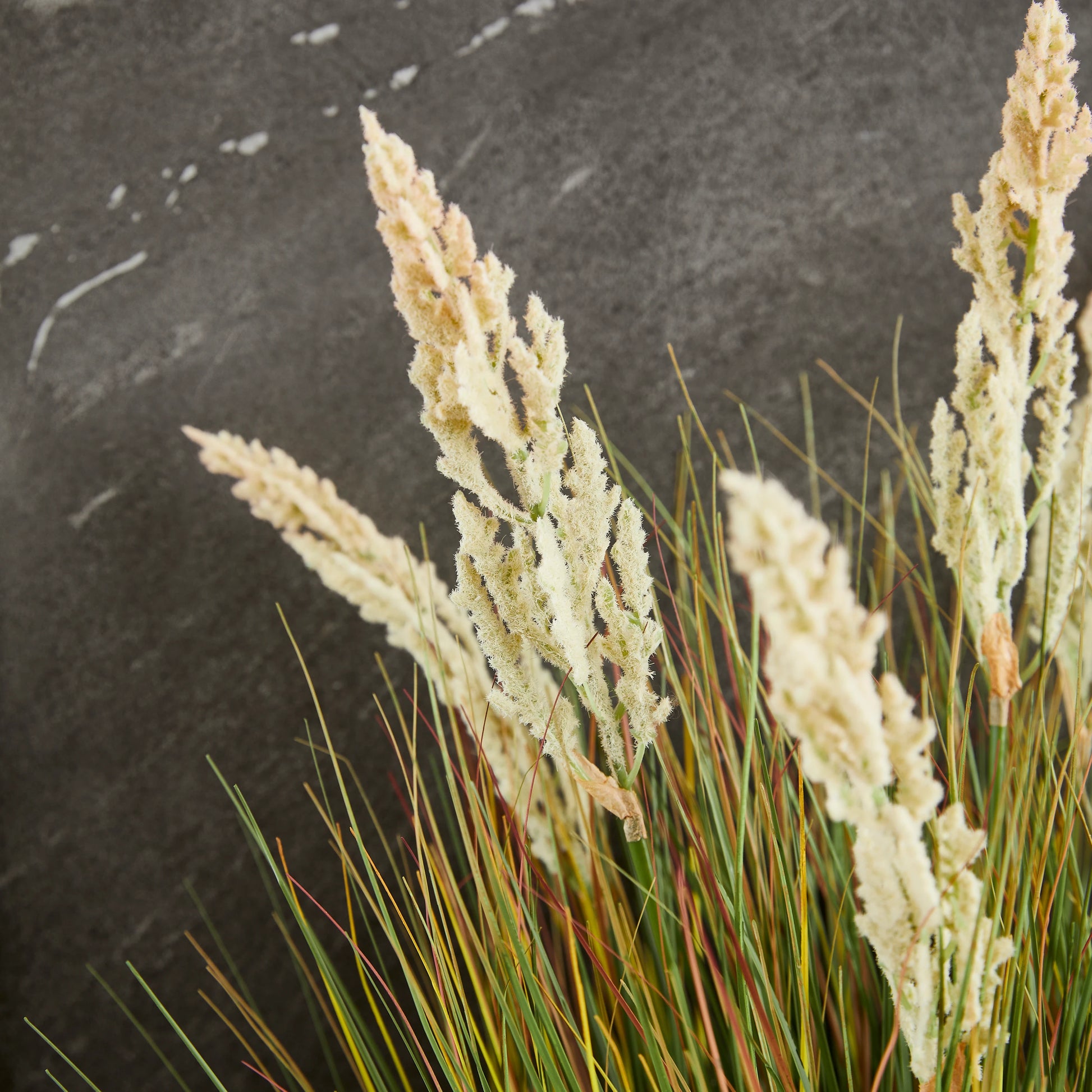 Künstliches Gras - Isoldeus, 61 cm, Kunstpflanze von aplanta, mit Fruchtstamm, in Grün, für drinnen
