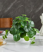 Künstlicher Geldbaum – Cassian | 24 cm