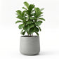 Pflanztopf Kiesel grau | 34X29