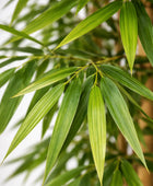 Künstlicher Bambus – Kenai | 180 cm