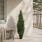Künstliche Zeder – Thalion | 90 cm