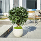 Künstlicher Lorbeerbaum - Vaelis, 75 cm, Kunstbaum von aplanta, mit Echtholzstamm, UV-beständig, inkl. Startertopf, in Grün