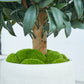 Künstlicher Lorbeerbaum - Vaelis, 75 cm, Kunstbaum von aplanta, mit Echtholzstamm, UV-beständig, inkl. Startertopf, in Grün