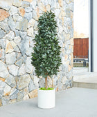 Künstlicher Lorbeerbaum – Alarion | 150 cm