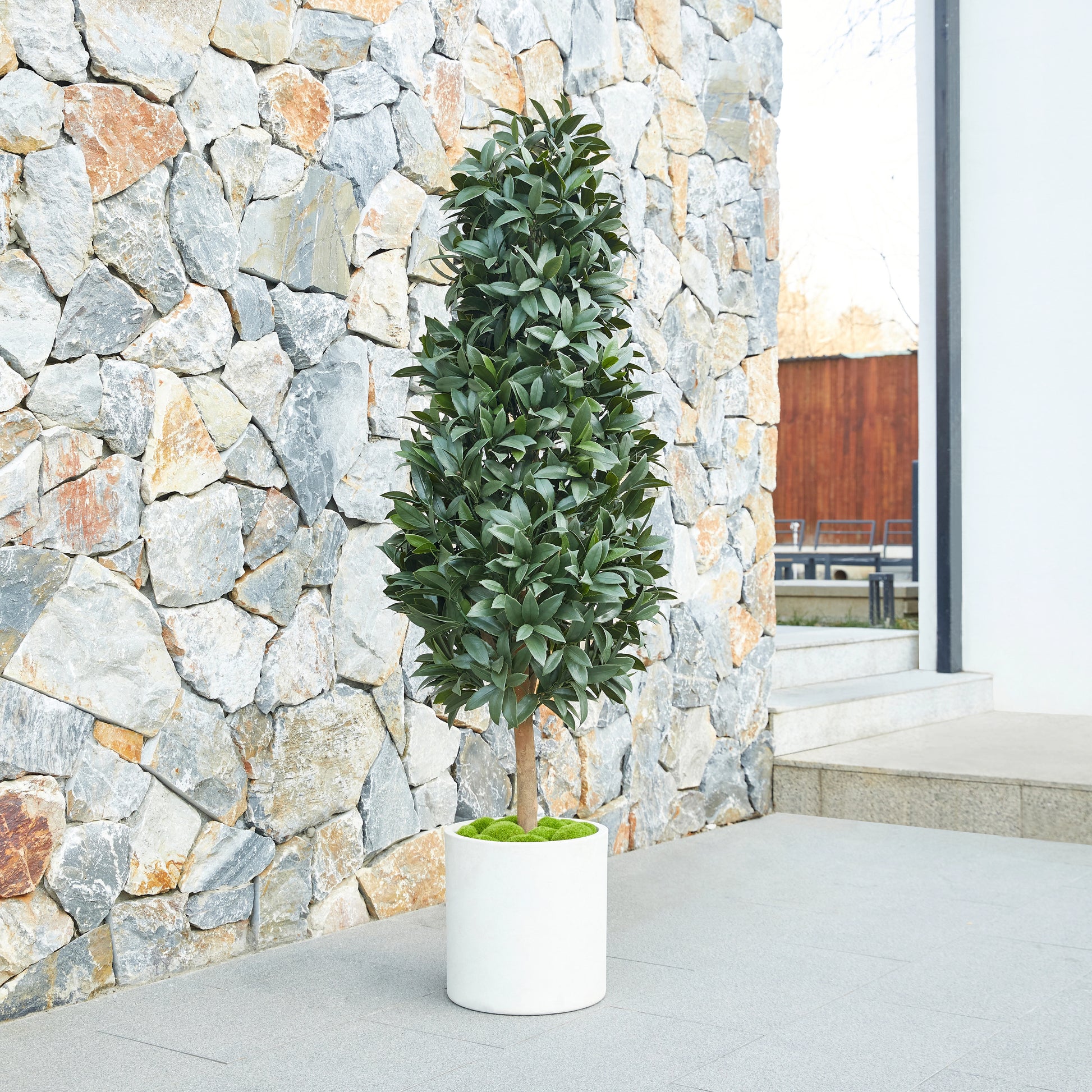 Künstlicher Lorbeerbaum – Alarion | 150 cm