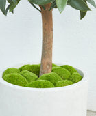 Künstlicher Lorbeerbaum – Alarion | 150 cm