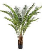 Künstliche Areca-Palme – Lysandria | 210 cm