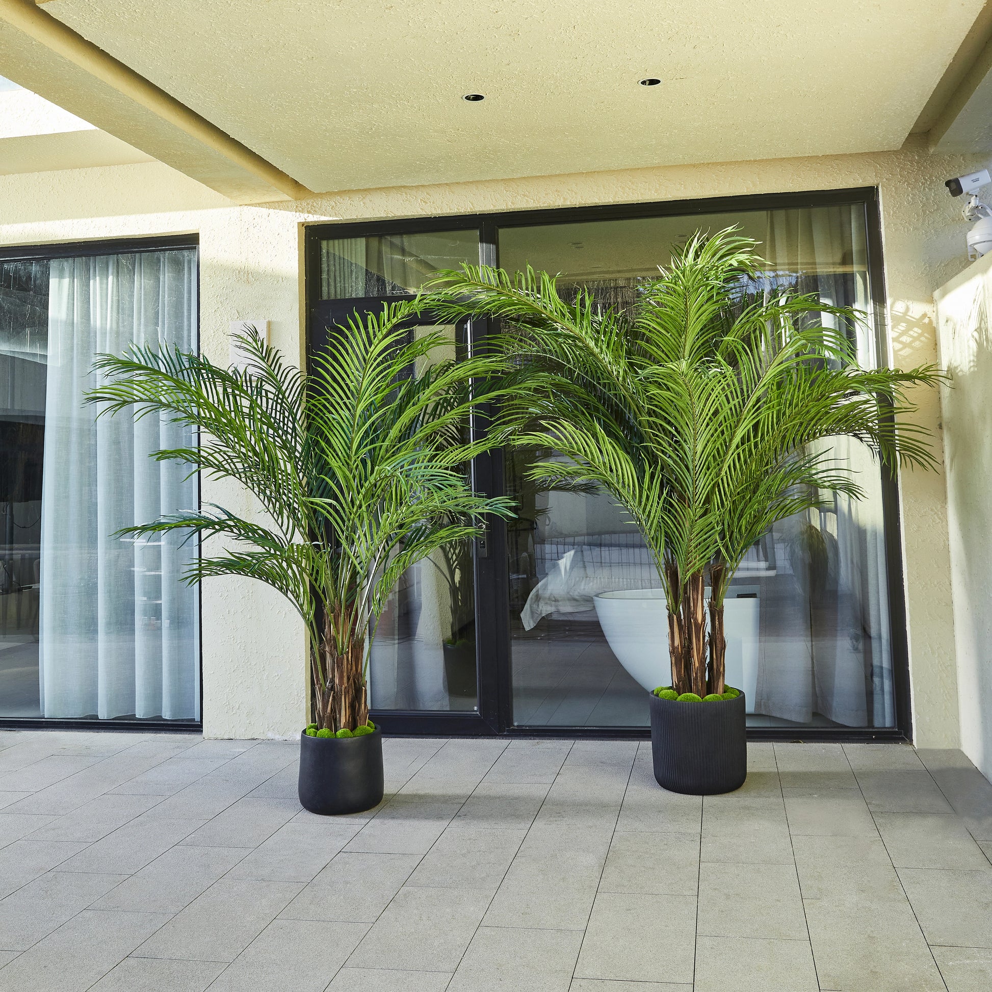 Künstliche Palme – Caliora | 240 cm