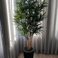 Künstliche Dracaena Reflexa – Maelis | 180 cm
