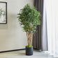 Künstliche Dracaena Reflexa - Maelis, 180 cm, Kunstbaum von aplanta, mit Echtholzstamm, inkl. Startertopf, in Grün