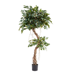 Künstlicher Ficus – Seraphius | 180 cm