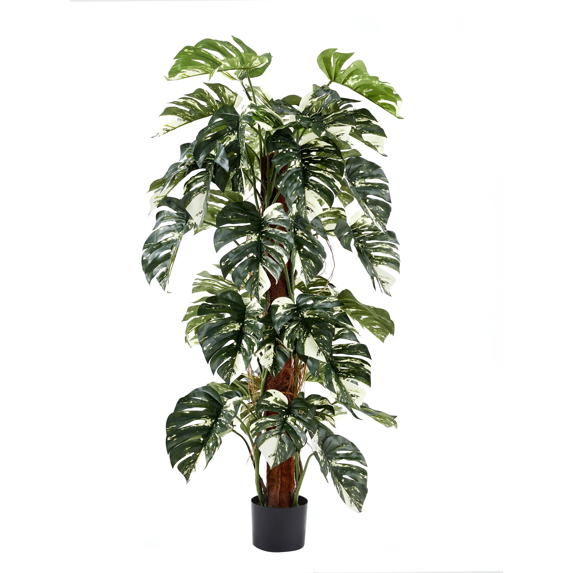 Künstlicher Split-Philodendron – Elowen | 150 cm