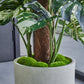Künstlicher Split-Philodendron - Elowen, 150 cm, Kunstpflanze von aplanta, inkl. Startertopf, in Bunt, für drinnen