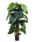 Künstlicher Split-Philodendron – Zephira | 160 cm