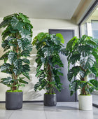 Künstlicher Split-Philodendron – Zephira | 160 cm