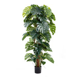 Künstlicher Split-Philodendron - Zephira, 190 cm, Kunstpflanze von aplanta, mit Echtholzstamm, in Grün, für drinnen