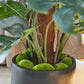 Künstlicher Split-Philodendron - Zephira, 190 cm, Kunstpflanze von aplanta, mit Echtholzstamm, in Grün, für drinnen