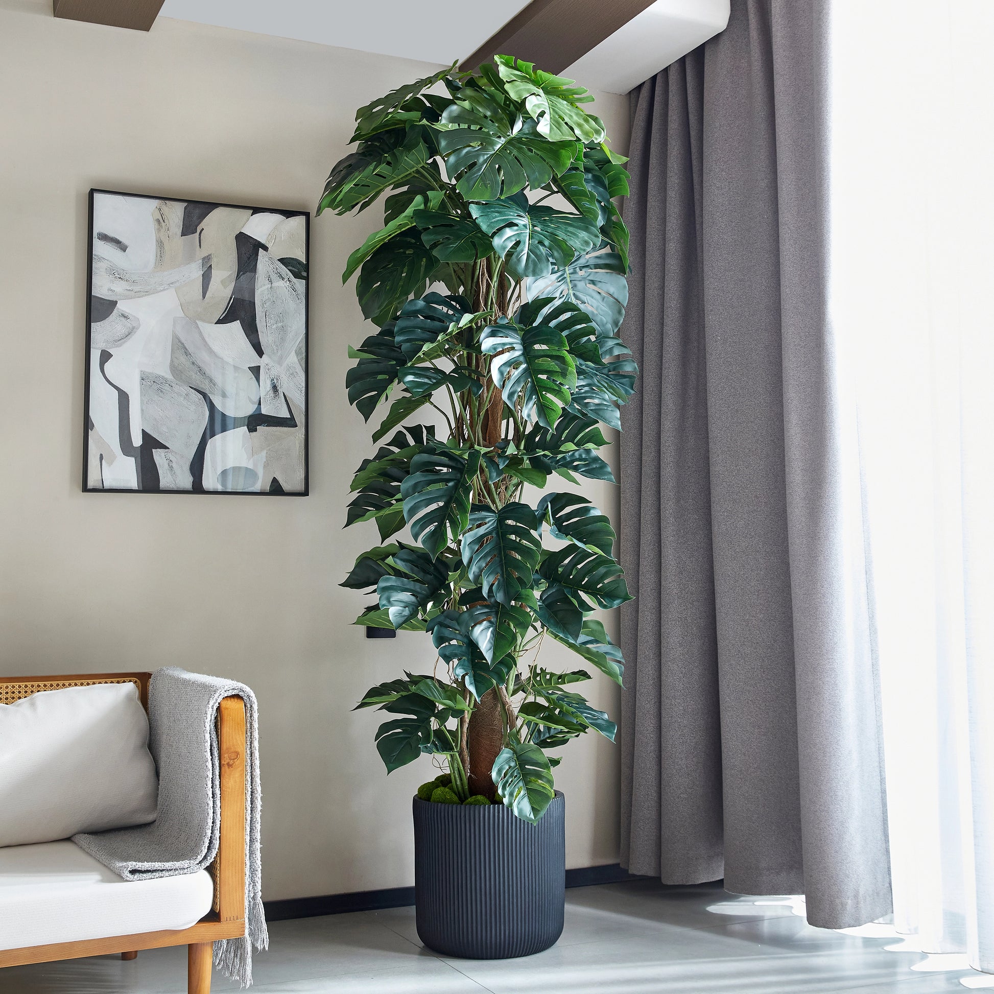 Künstlicher Split-Philodendron – Zephira | 210 cm
