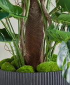 Künstlicher Split-Philodendron – Zephira | 210 cm