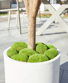 Künstlicher Olivenbaum – Callistus | 140 cm