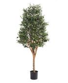 Künstlicher Olivenbaum – Callistus | 170 cm