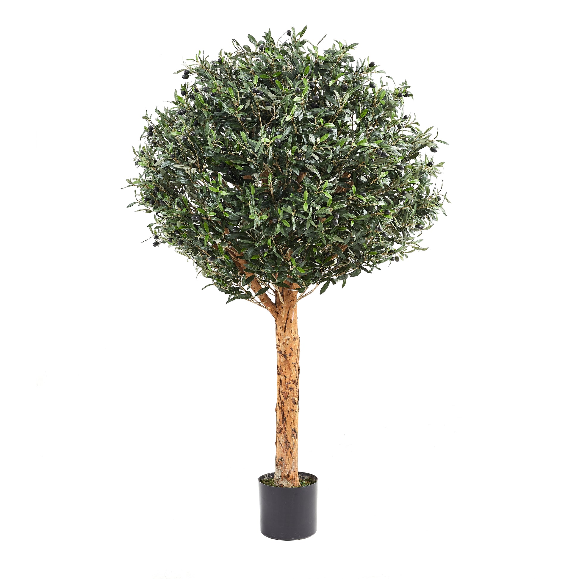 Künstlicher Olivenbaum – Eleutherios | 180 cm