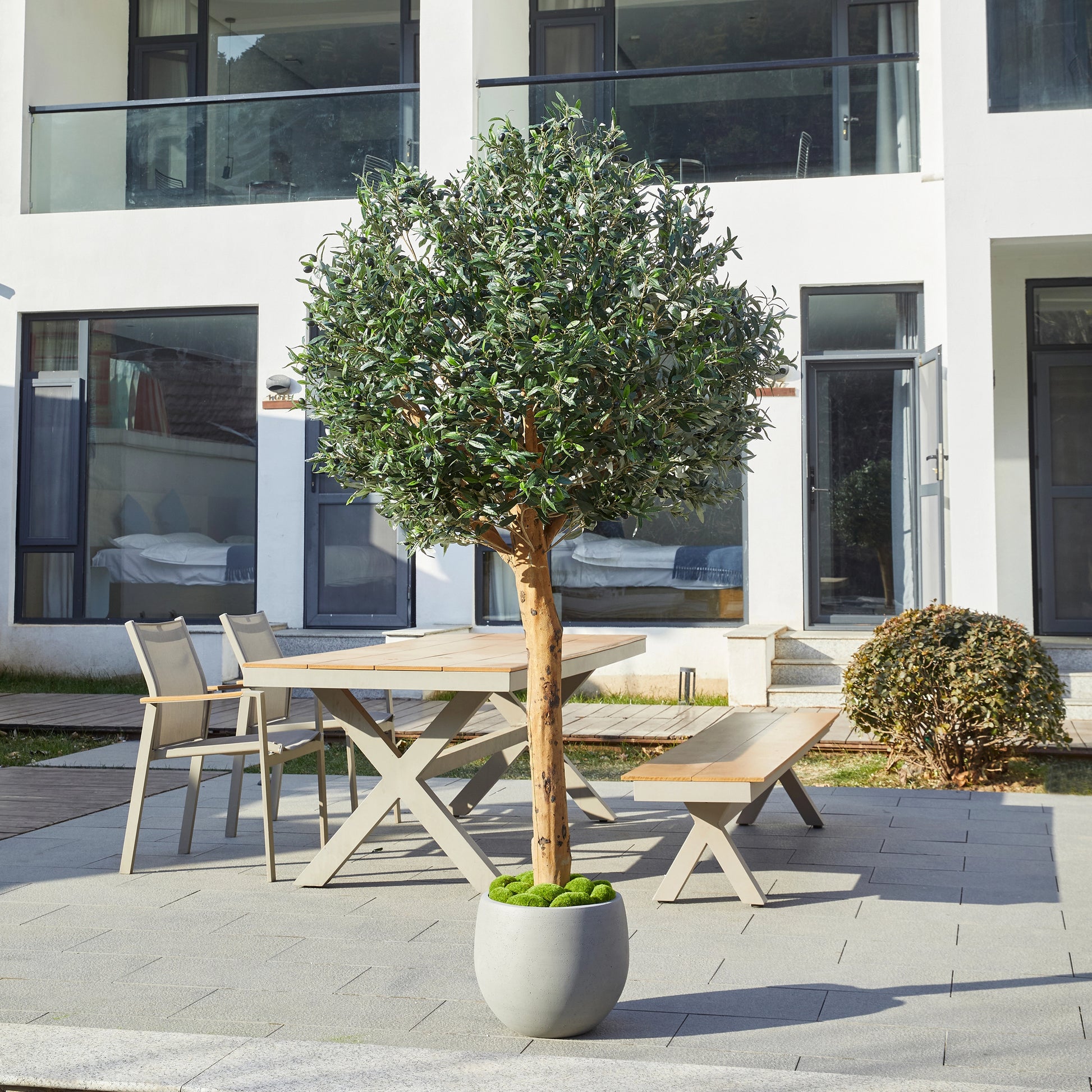 Künstlicher Olivenbaum – Eleutherios | 210 cm