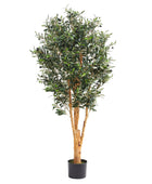 Künstlicher Olivenbaum – Lysandra | 150 cm