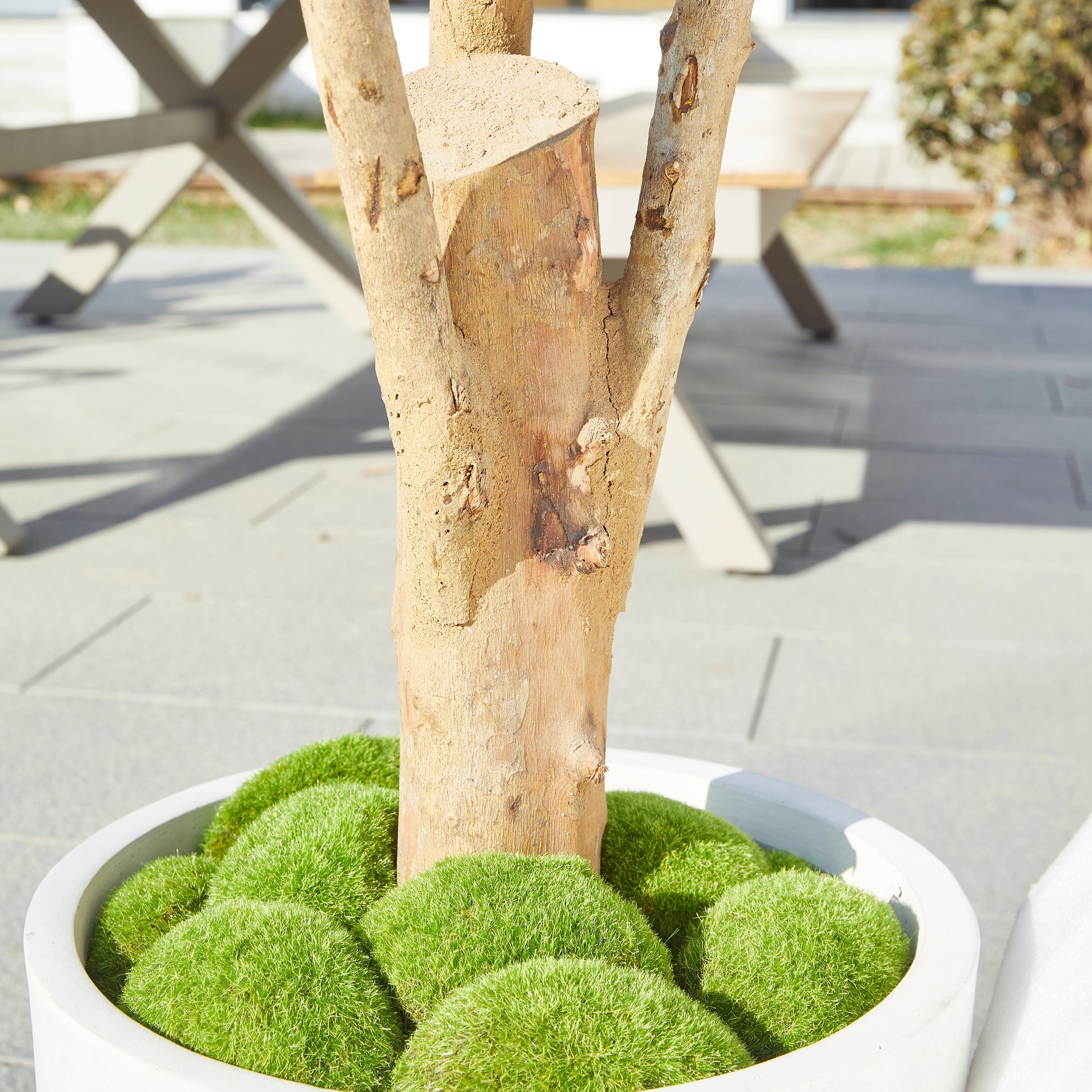 Künstlicher Olivenbaum – Lysandra | 150 cm