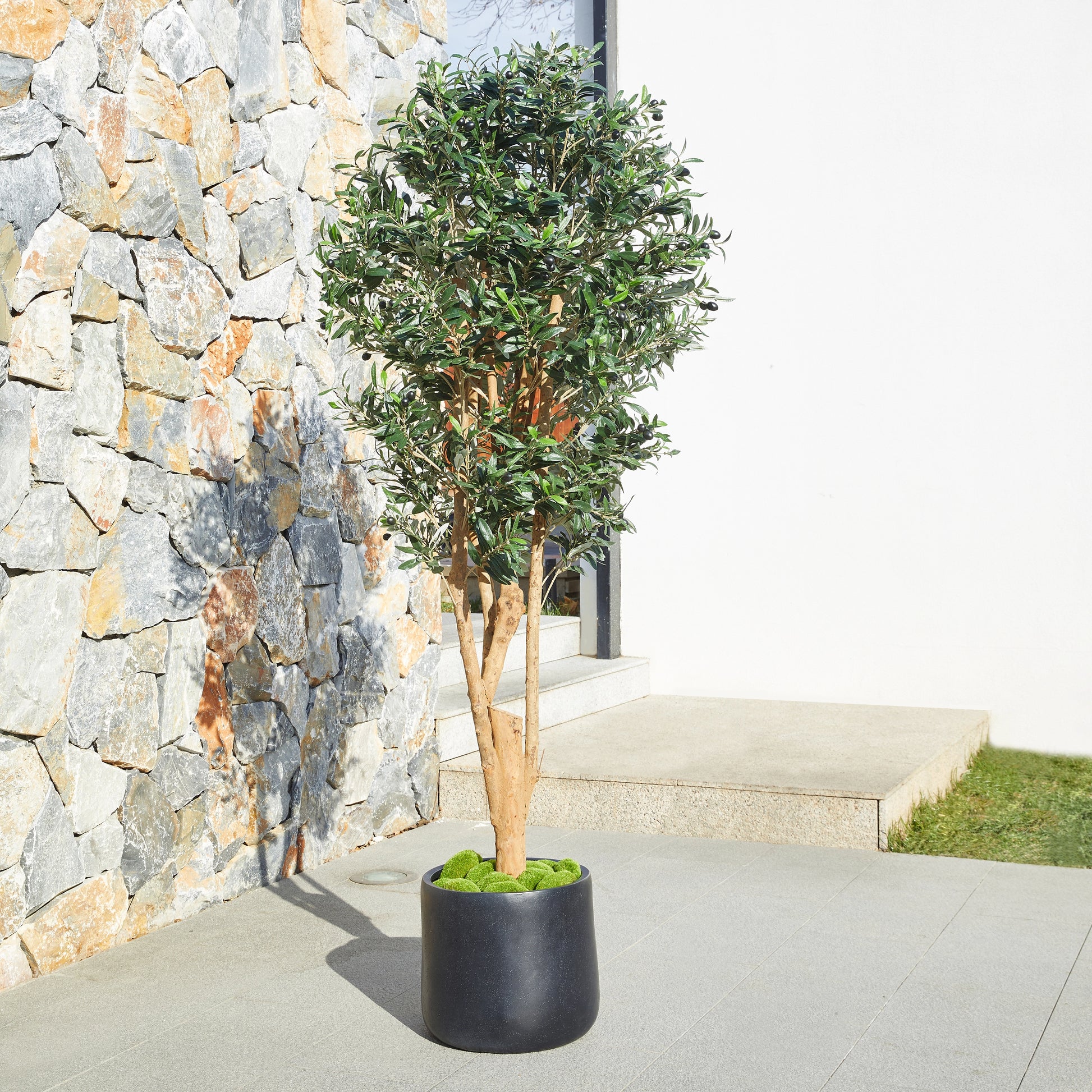 Künstlicher Olivenbaum – Lysandra | 180 cm