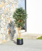 Künstlicher Olivenbaum – Lysandra | 180 cm