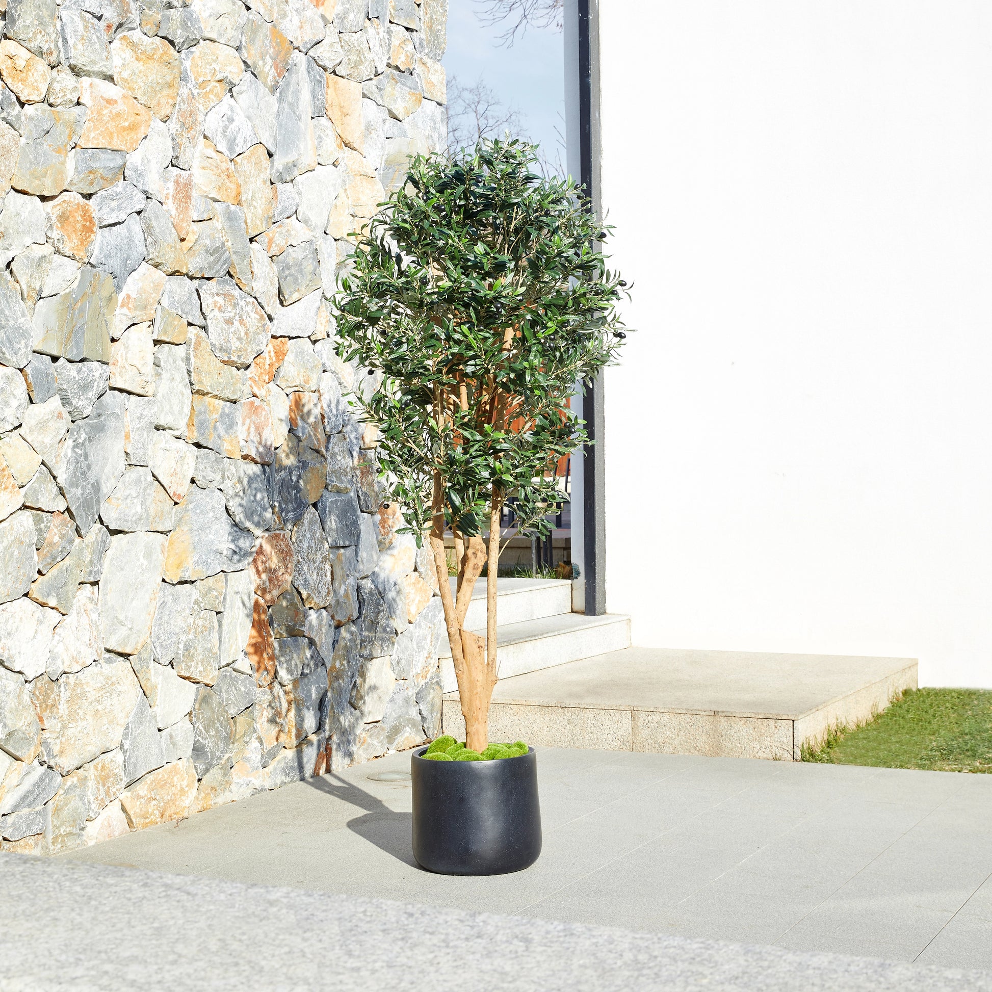 Künstlicher Olivenbaum – Lysandra | 180 cm