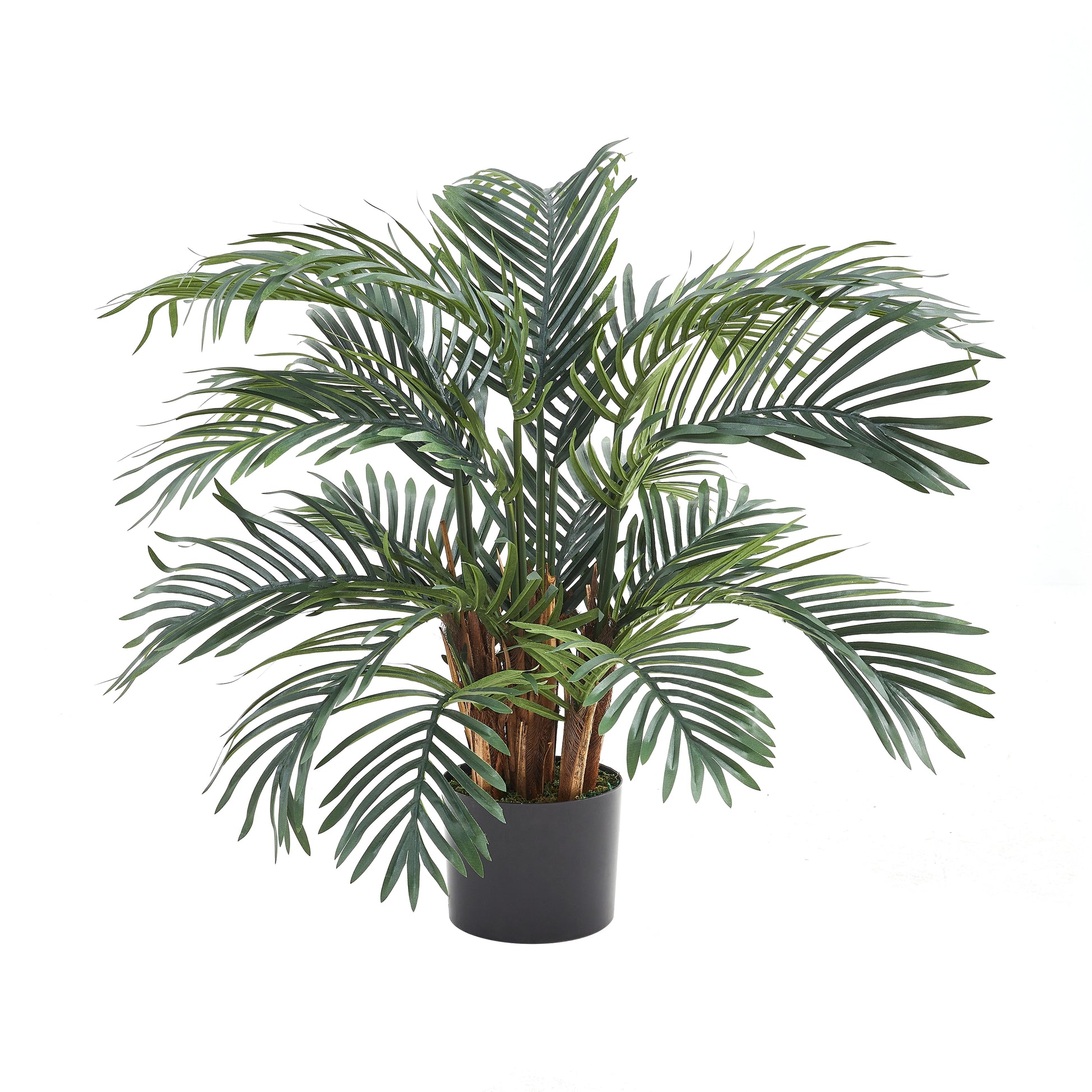 Künstlicher Palmfarn – Alamea | 75 cm