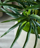 Künstliche Dracaena Reflexa – Orielle | 70 cm