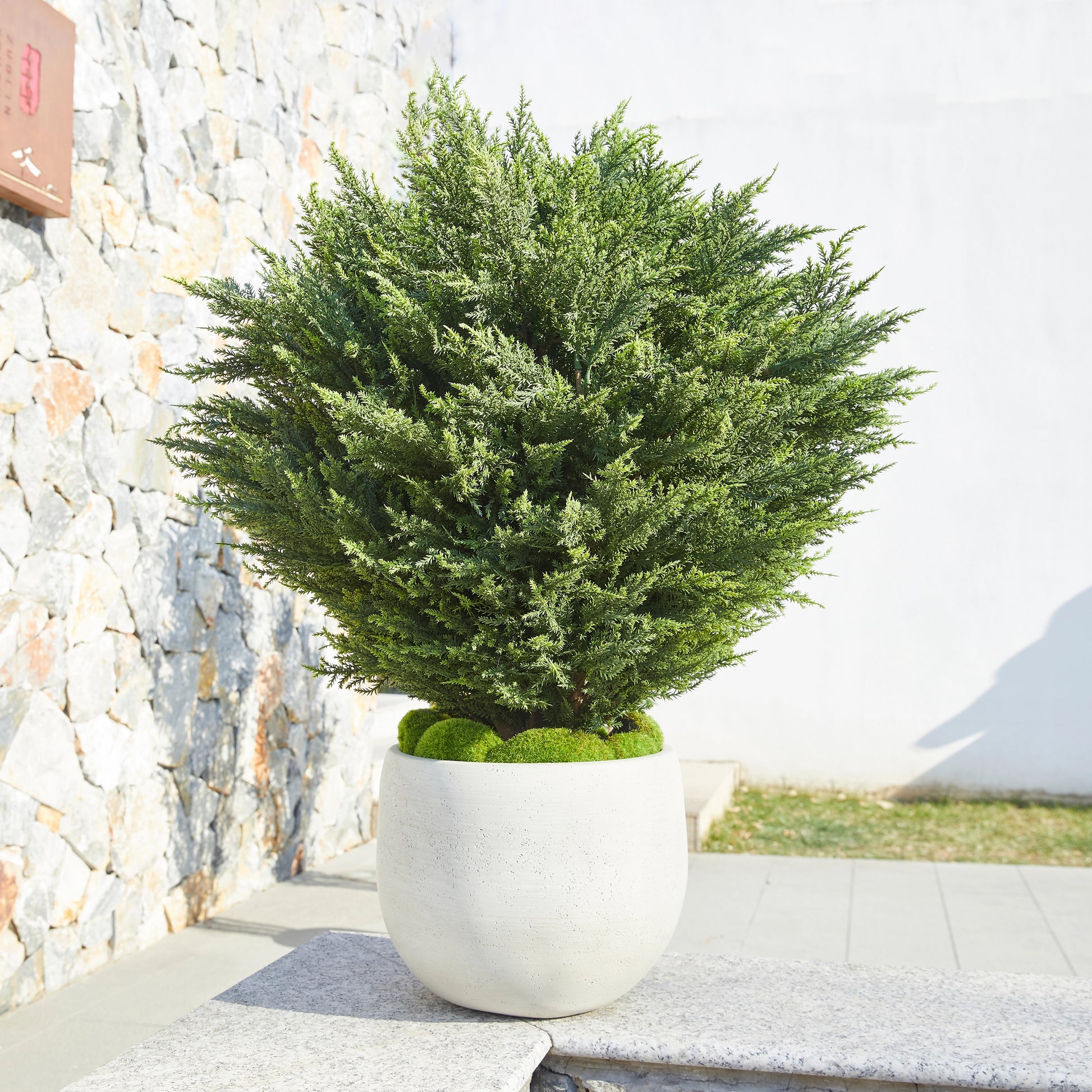 Künstliche Zypresse – Sylvano | 75 cm