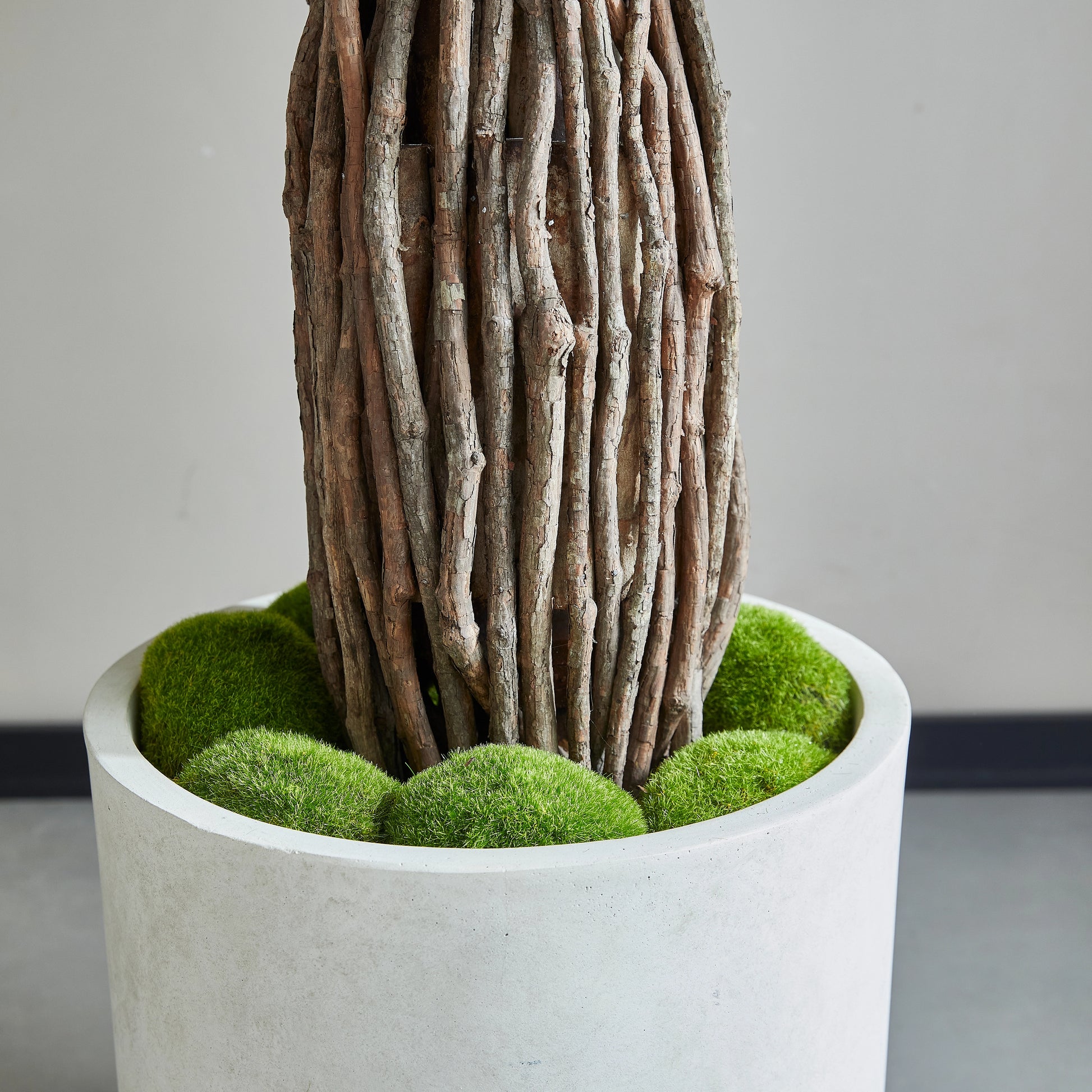 Künstlicher Ficus – Amadior | 150 cm