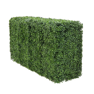 Künstliche Buchsbaumhecke - Jonas | 100x50 cm