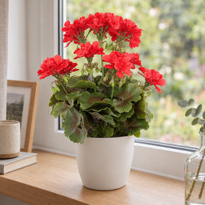 Künstliche Geranie - Perla | 40 cm rot
