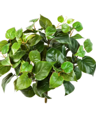 Hochwertige Monstera Kunstpflanze auf transparentem Hintergrund mit echt wirkenden Kunstblättern in natürlicher Anordnung. Künstliche Monstera - Joe hat die Farbe Natur | aplanta Kunstpflanzen