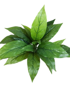 Künstliche Cordyline - Hannah auf transparentem Hintergrund mit echt wirkenden Kunstblättern in natürlicher Anordnung. Künstliche Cordyline - Hannah hat die Farbe Natur und ist 30 cm hoch. | aplanta Kunstpflanzen