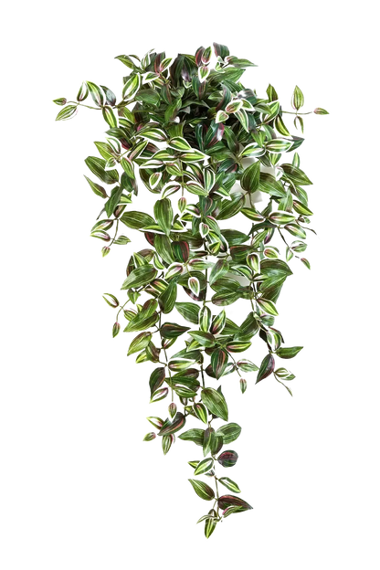 Künstliches Zebrakraut - Alina, 70 cm, Kunstpflanze von aplanta, Steckpflanze, in Natur, für drinnen