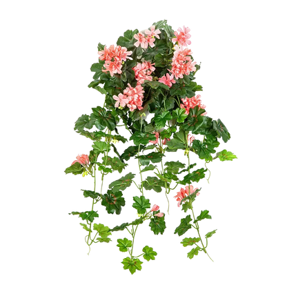 Hochwertige künstliche Hängepflanze auf transparentem Hintergrund mit echt wirkenden Kunstblättern in natürlicher Anordnung. Künstliche Hänge-Geranie - Adam hat die Farbe Pfirsich und ist 72 cm hoch. | aplanta Kunstpflanzen