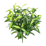 Künstliche Grünlilie - Belinay auf transparentem Hintergrund mit echt wirkenden Kunstblättern in natürlicher Anordnung. Künstliche Grünlilie - Belinay hat die Farbe Natur und ist 40 cm hoch. | aplanta Kunstpflanzen