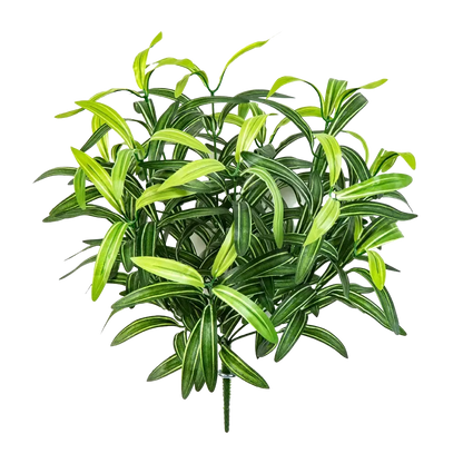 Künstliche Grünlilie - Belinay auf transparentem Hintergrund mit echt wirkenden Kunstblättern in natürlicher Anordnung. Künstliche Grünlilie - Belinay hat die Farbe Natur und ist 40 cm hoch. | aplanta Kunstpflanzen